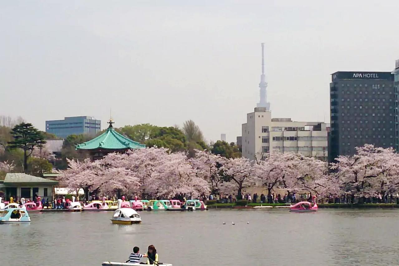 Namio Apartment 201 Tokio Zewnętrze zdjęcie